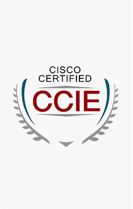 CCIE理论 CCIE理论