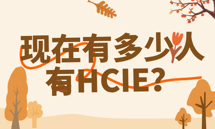 现在有多少人有HCIE?一文看懂持证人数、通过率与真实含金量