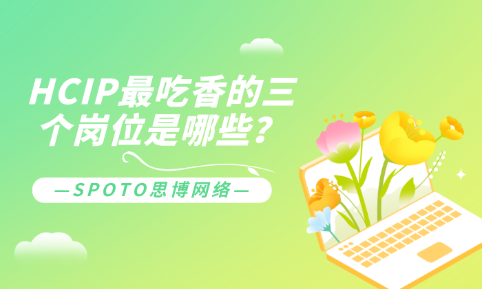 HCIP最吃香的三个岗位是哪些？选岗位还是选成长路线