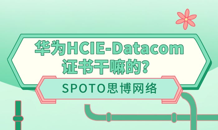 华为HCIE-Datacom证书干嘛的？考取的必要性强吗？