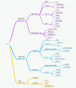 CCNP课程考试大纲，最新CCNP学习考试大纲