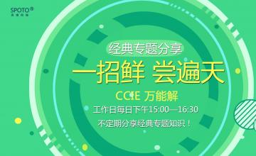 【2016.07.29】一招鲜，尝遍天--CCIE正解