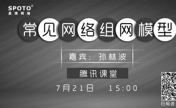 常见网络组网模型