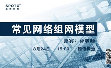 常见网络组网模型