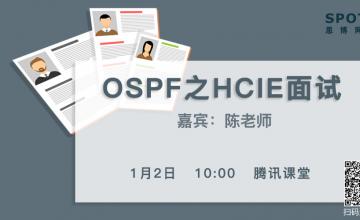 ospf之HCIE面试