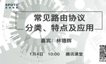 常见路由协议分类、特点及应用