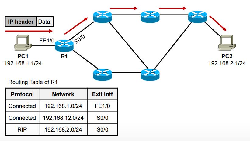 路由（Routing）