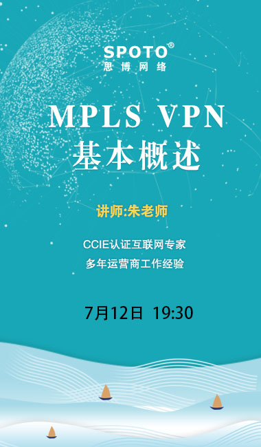 MPLS VPN 基本概述