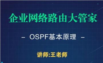 企业网络路由大管家 OSPF基本原理
