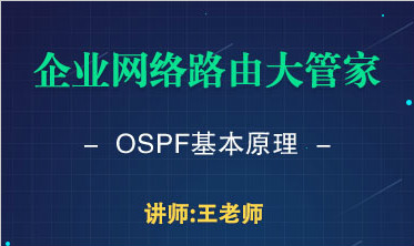 企业网络路由大管家 OSPF基本原理