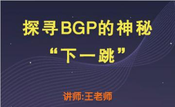 探寻BGP的神秘“下一跳”