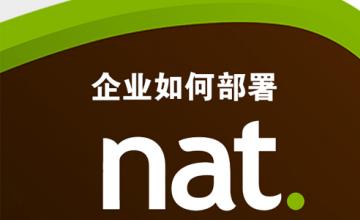 企业如何部署NAT？