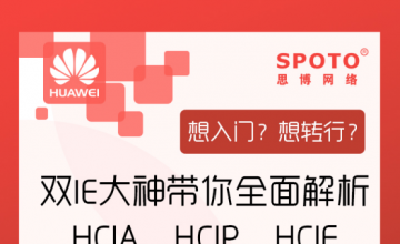 想入门？想转行？双IE大神带你全面解析HCIA、HCIP、HCIE