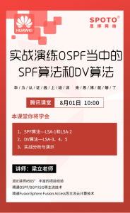 实战演练OSPF当中的SPF算法和DV算法