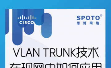 VLAN TRUNK技术在现网中如何应用