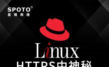 HTTPS中神秘的密码学