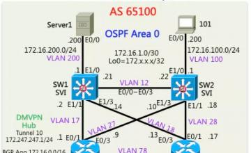 【故事】6个月，0基础拿到IE！思博，我还会再回来的！