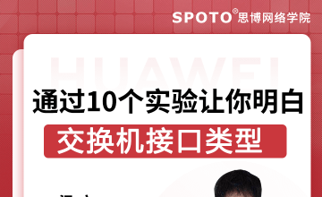 通过10个实验让你明白交换机接口类型