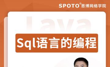 Sql语言的编程