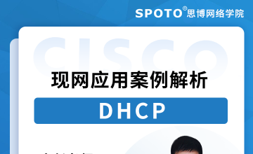DHCP现网应用案例解析