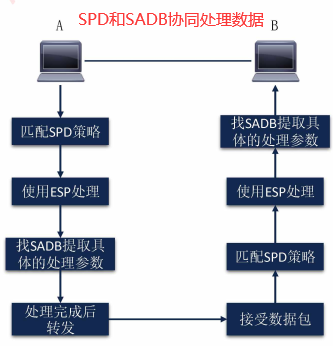 SPD和SADB协同处理数据