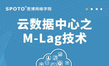 云数据中心之M-Lag技术