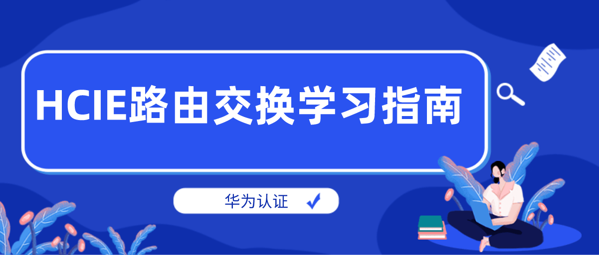 华为认证HCIE路由交换学习指南