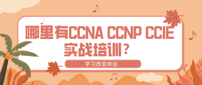 哪里有CCNA CCNP CCIE实战培训？
