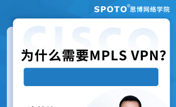 为什么需要MPLS VPN？