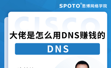 大佬是怎么用DNS赚钱的