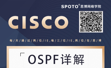 OSPF详解-入门篇
