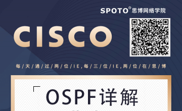 OSPF详解-进阶篇