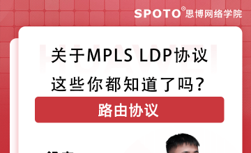 关于MPLS LDP协议，这些你都知道了吗？