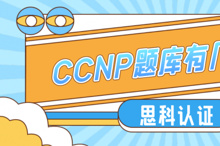 CCNP题库有几题？