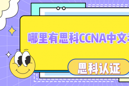 哪里有思科CCNA中文考试题库？