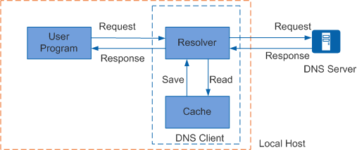 DNS Client和DNS Server的交互，即动态域名解析的工作过程