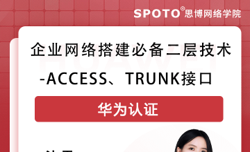 企业网络搭建必备二层技术-access、trunk接口