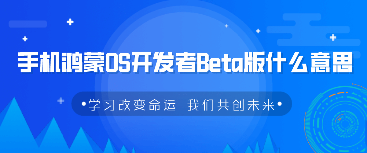 Beta 意思