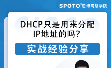 DHCP只是用来分配IP地址的吗？
