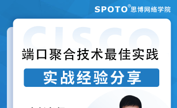 带宽翻倍！端口聚合技术现网最佳实践