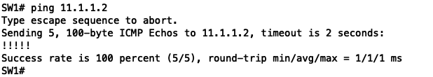 Sw1# ping 11.1.1.2