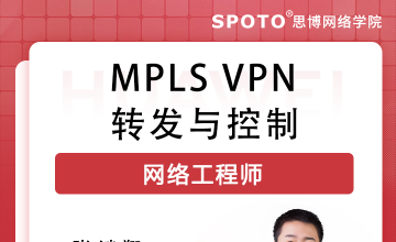 mpls vpn转发与控制