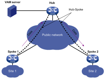 Hub-Spoke网络