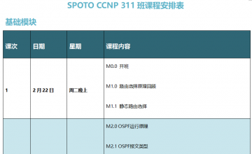 SPOTO EI CCNP 311班课程表【2月22日】