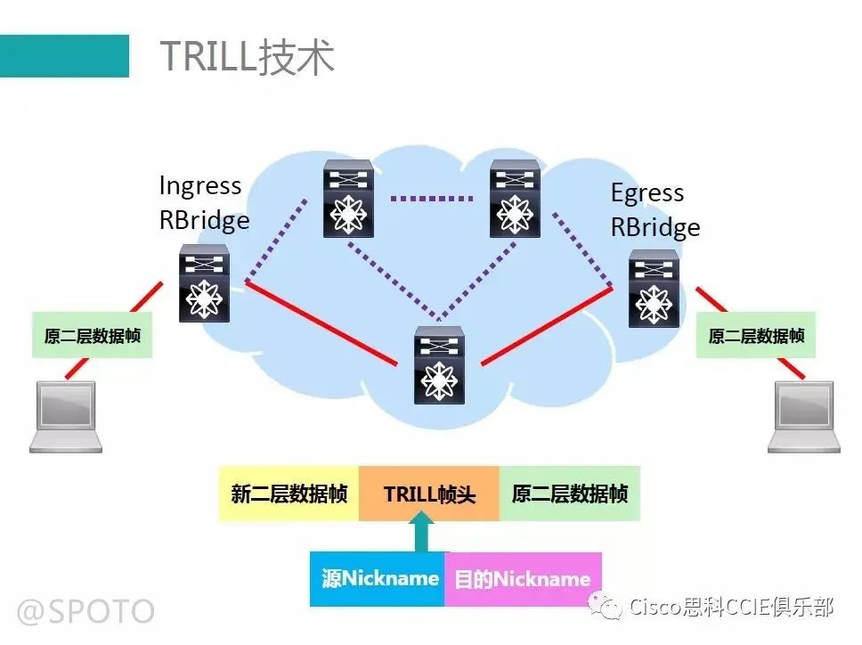 TRILL技术