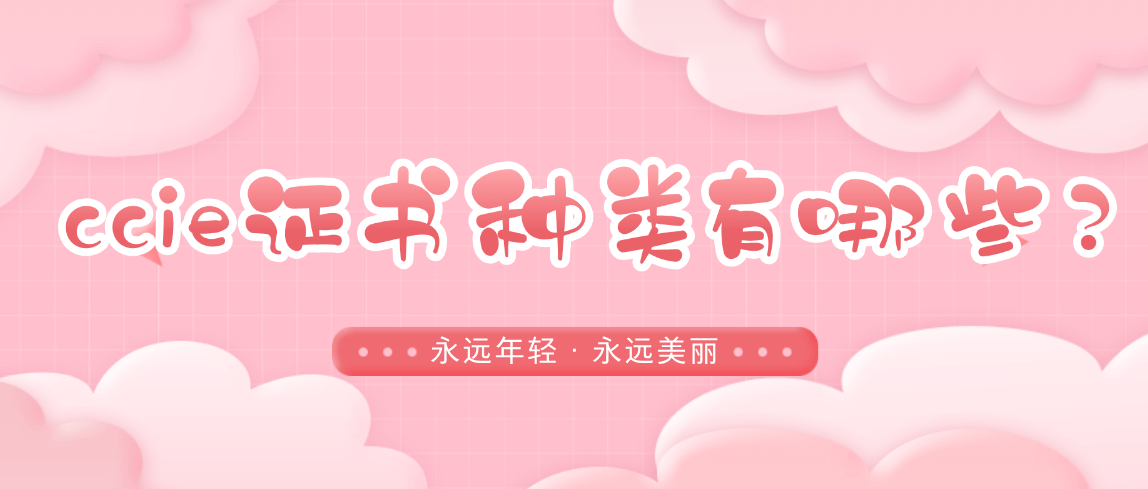 ccie证书种类有哪些？
