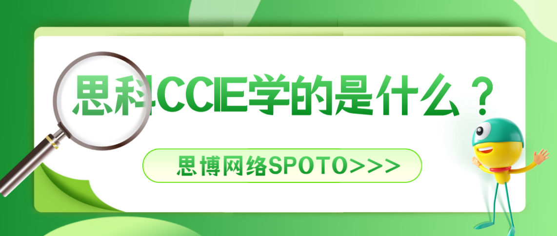 思科CCIE学的是什么？