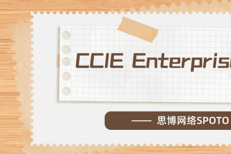 CCIE Enterprise是什么？