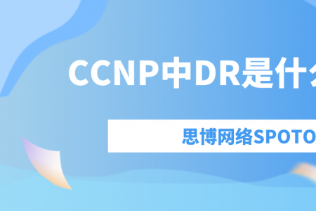 CCNP中DR是什么意思？