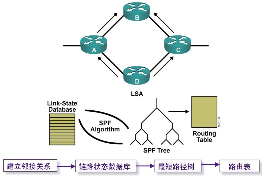 链路状态路由协议
